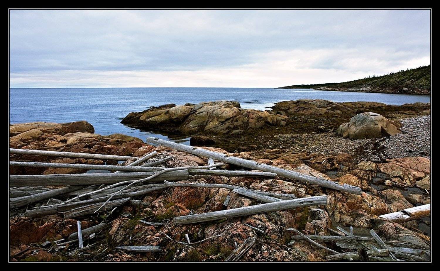 , Марина Кочетова