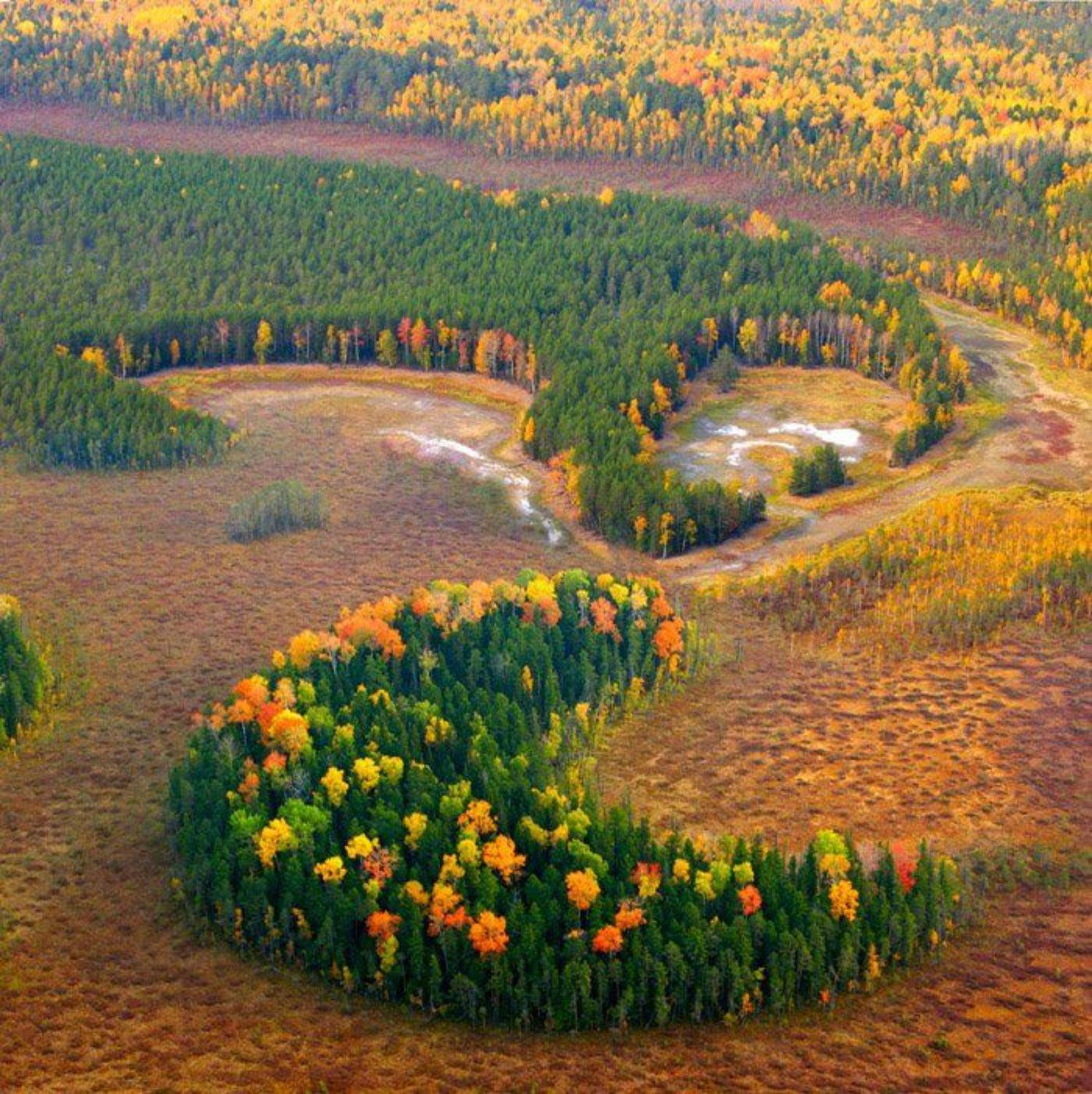 мотопараплан, сибирь, осень., Николай Гынгазов