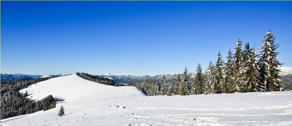 карпаты, Станислав Савицкий