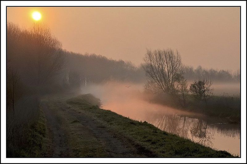 Foggy morning.