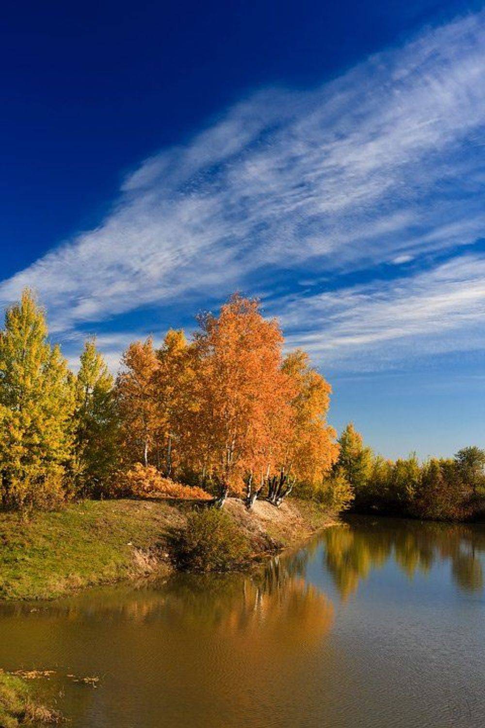 осень, Виктор Бут