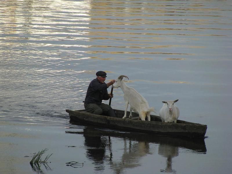 Только деда люблю фото превью