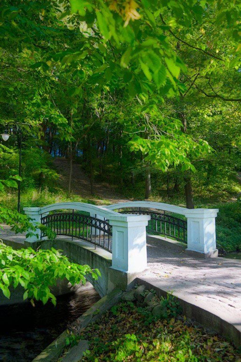 , Рафаэль Александрович Фоменко