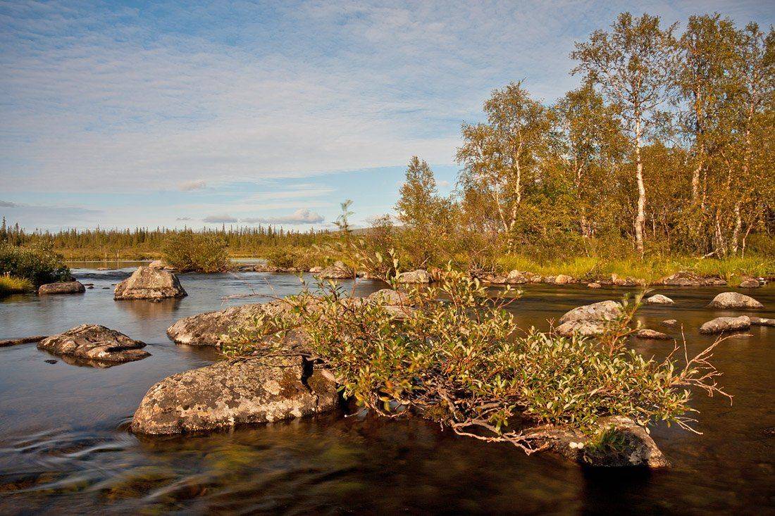 кольский, полуостров, рамозеро, locus