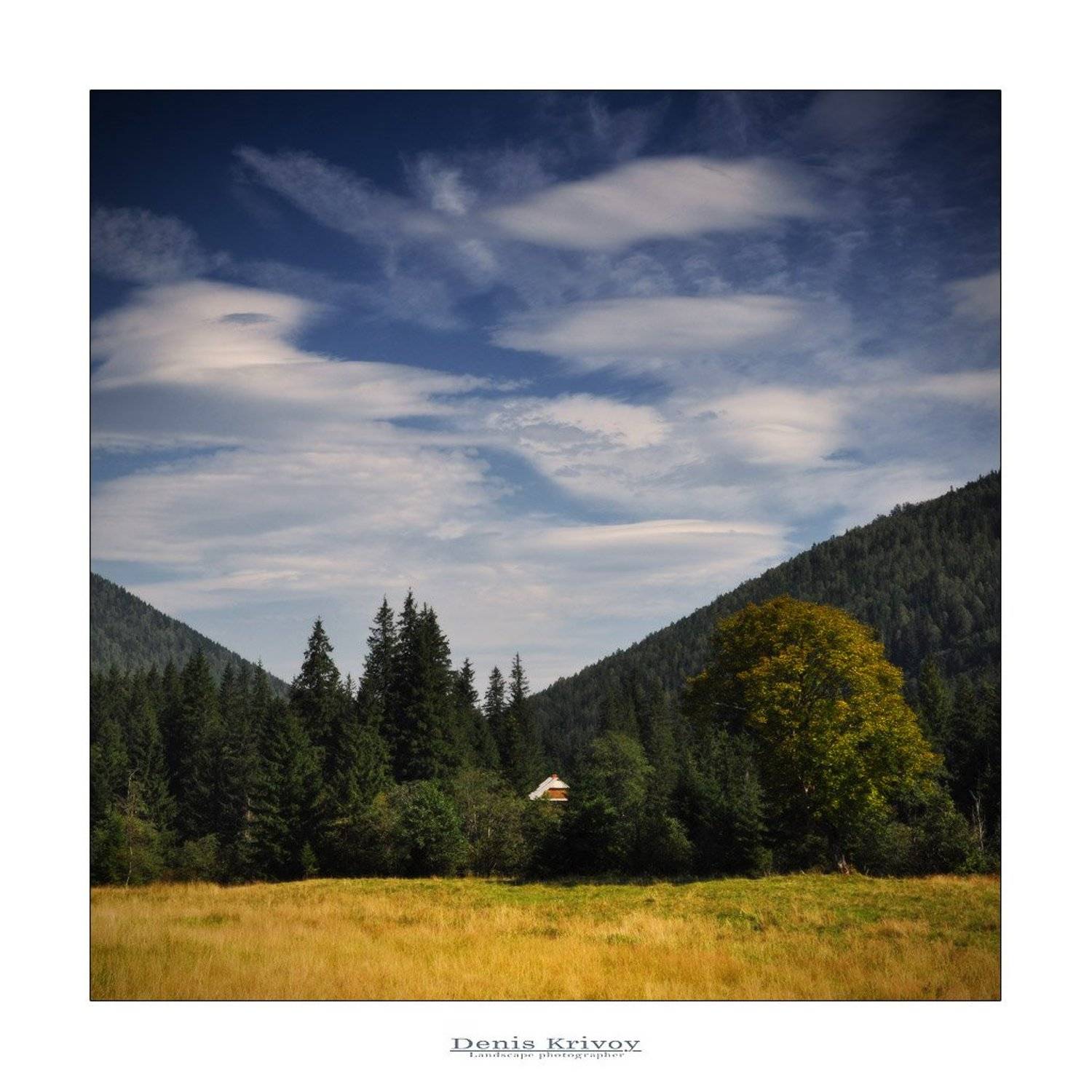 , Денис Кривой