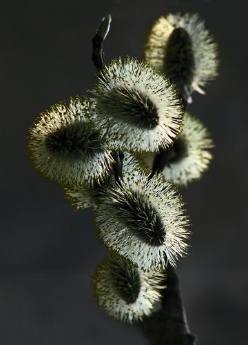 Был апрель..