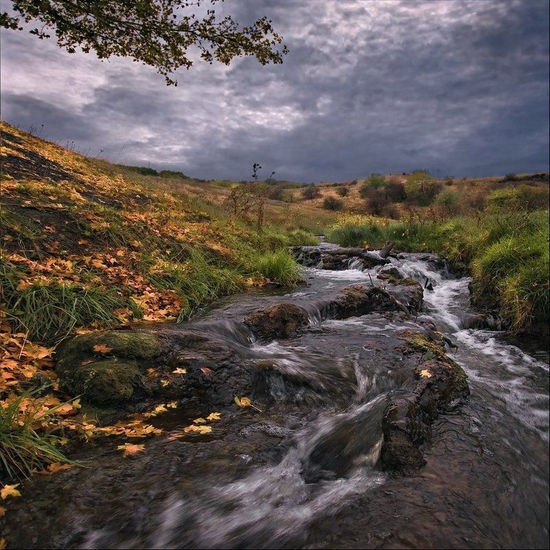 Осенним вечером фото превью
