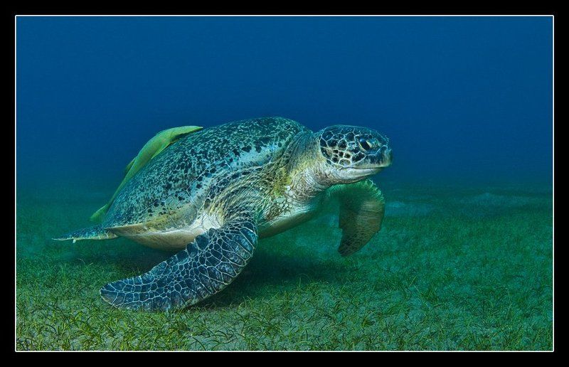 На взлет фото превью