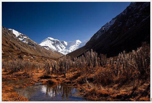 Радость жизни