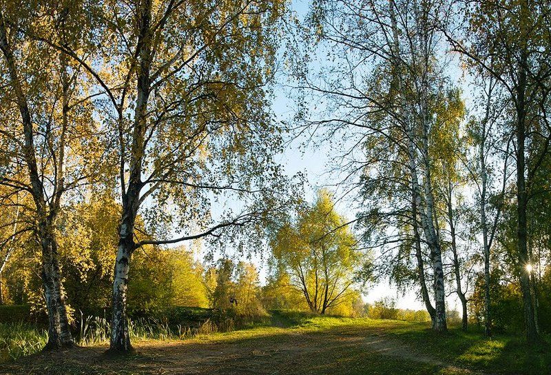 рисунок солнцем фото превью