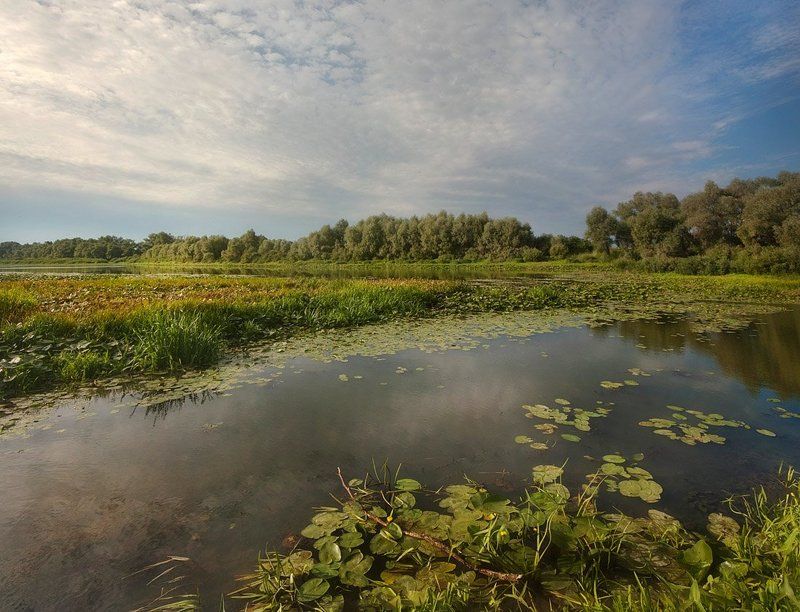 десна Про Десну фото превью