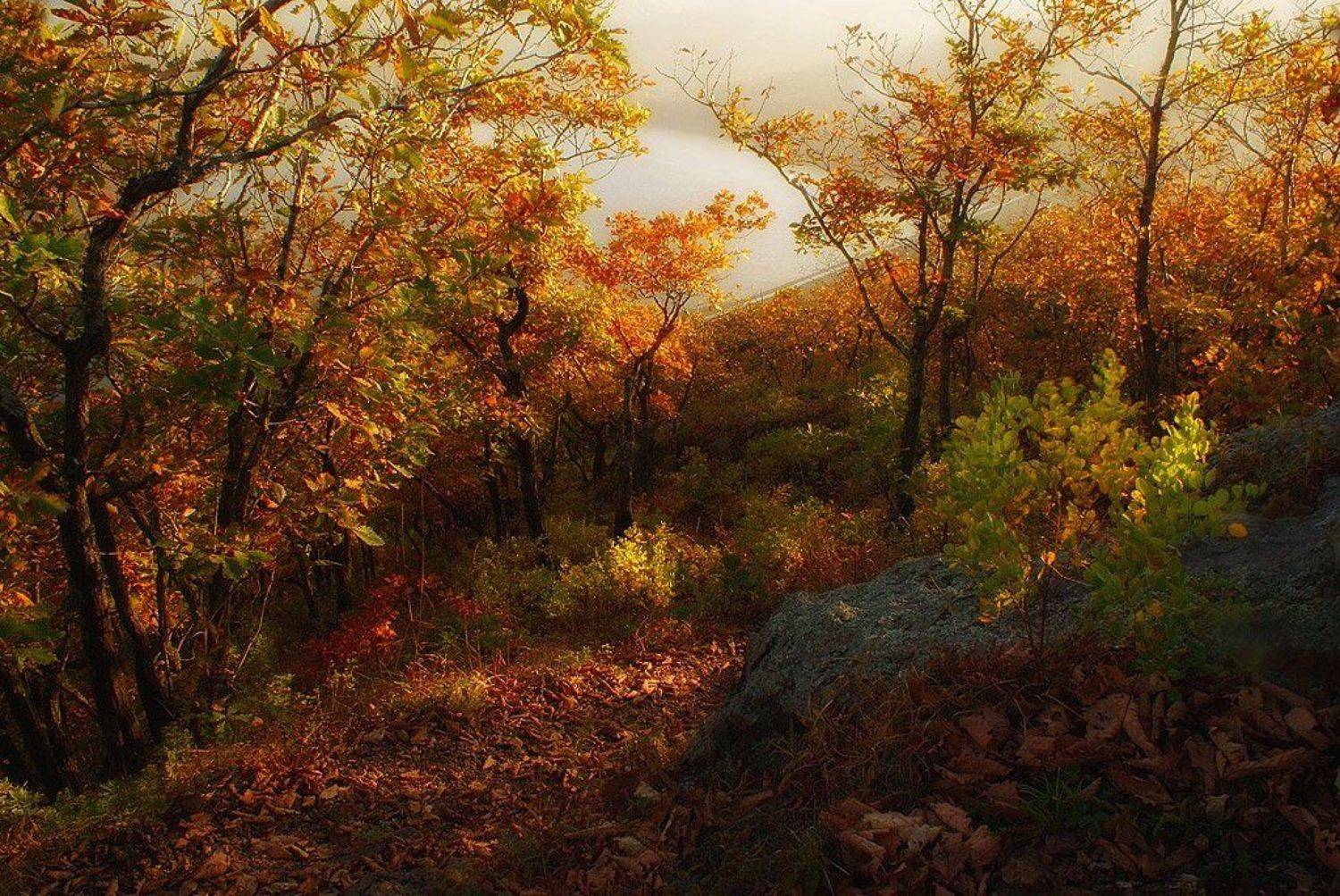 , олег сопов