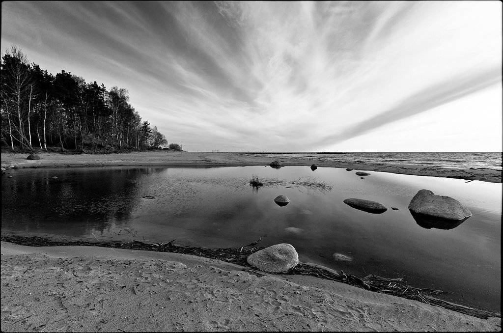 латвия, туя, Лариса Гурьева