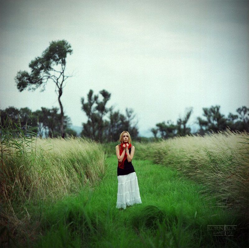 девушка, , поле, трава, северные, земли, дмитрий, корнилов, плёнка, 6х6, средний, формат, киев, 88 тр... фото превью
