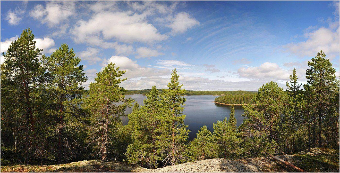 , Борис Пирог