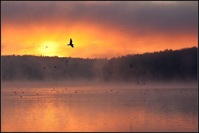 рассвет, который был сегодня фото превью