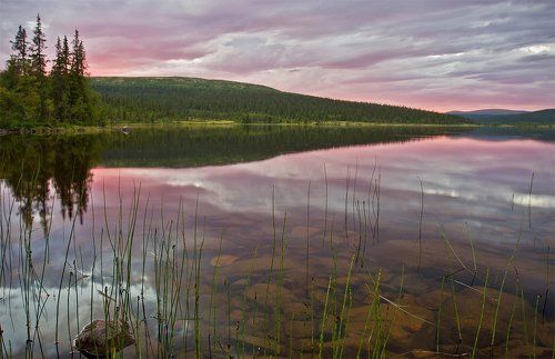 Спокойствие севера