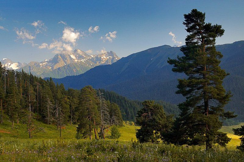 архыз Долина Архыза фото превью