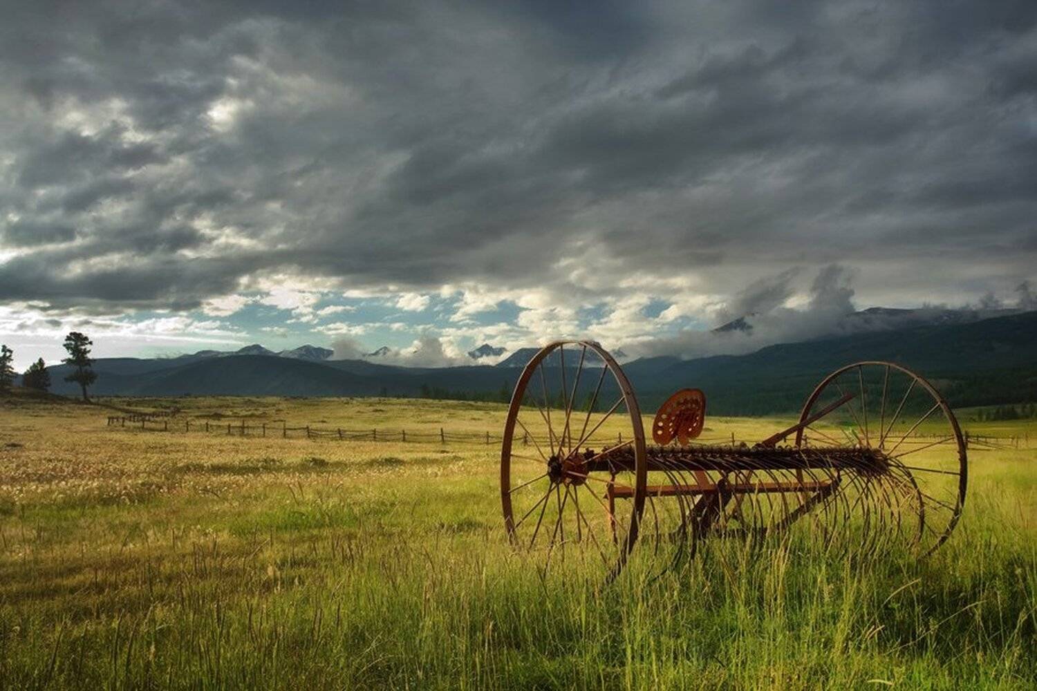 горный, алтай, джазатор, сельский, пейзаж, горы, пастбище, Павел