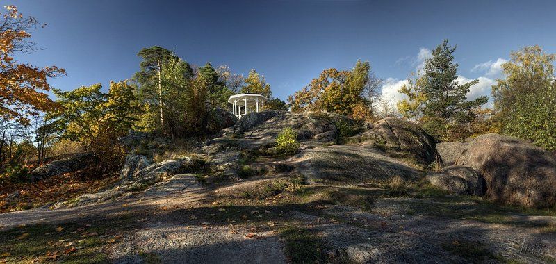 выборг, монрепо, осень, пейзаж, природа ... и на камнях растут деревья. фото превью