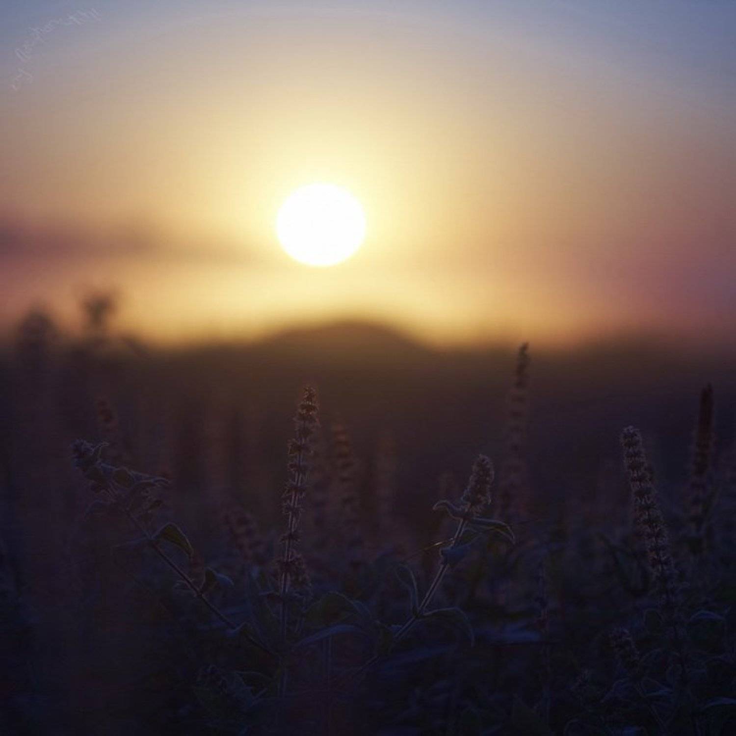 , Кирилл Брага