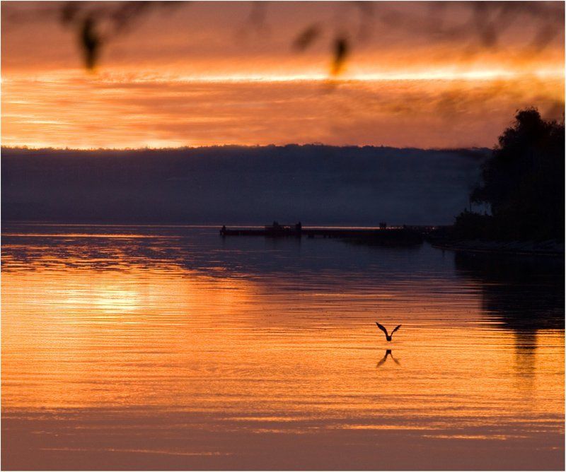 **** фото превью