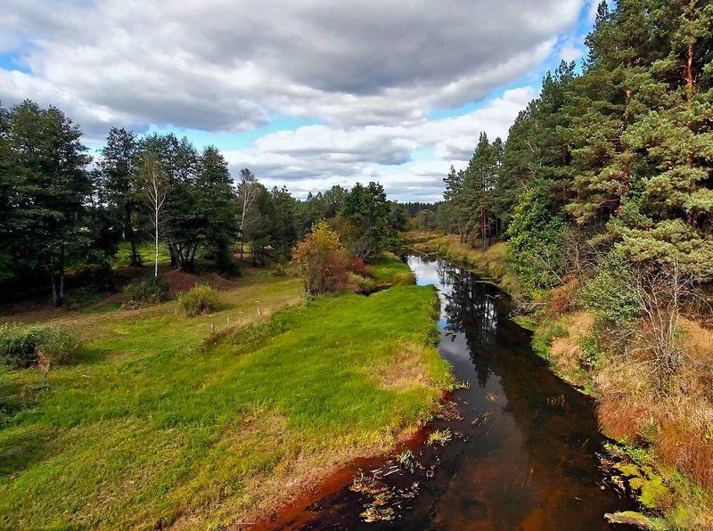 пейзаж Полесье фото превью