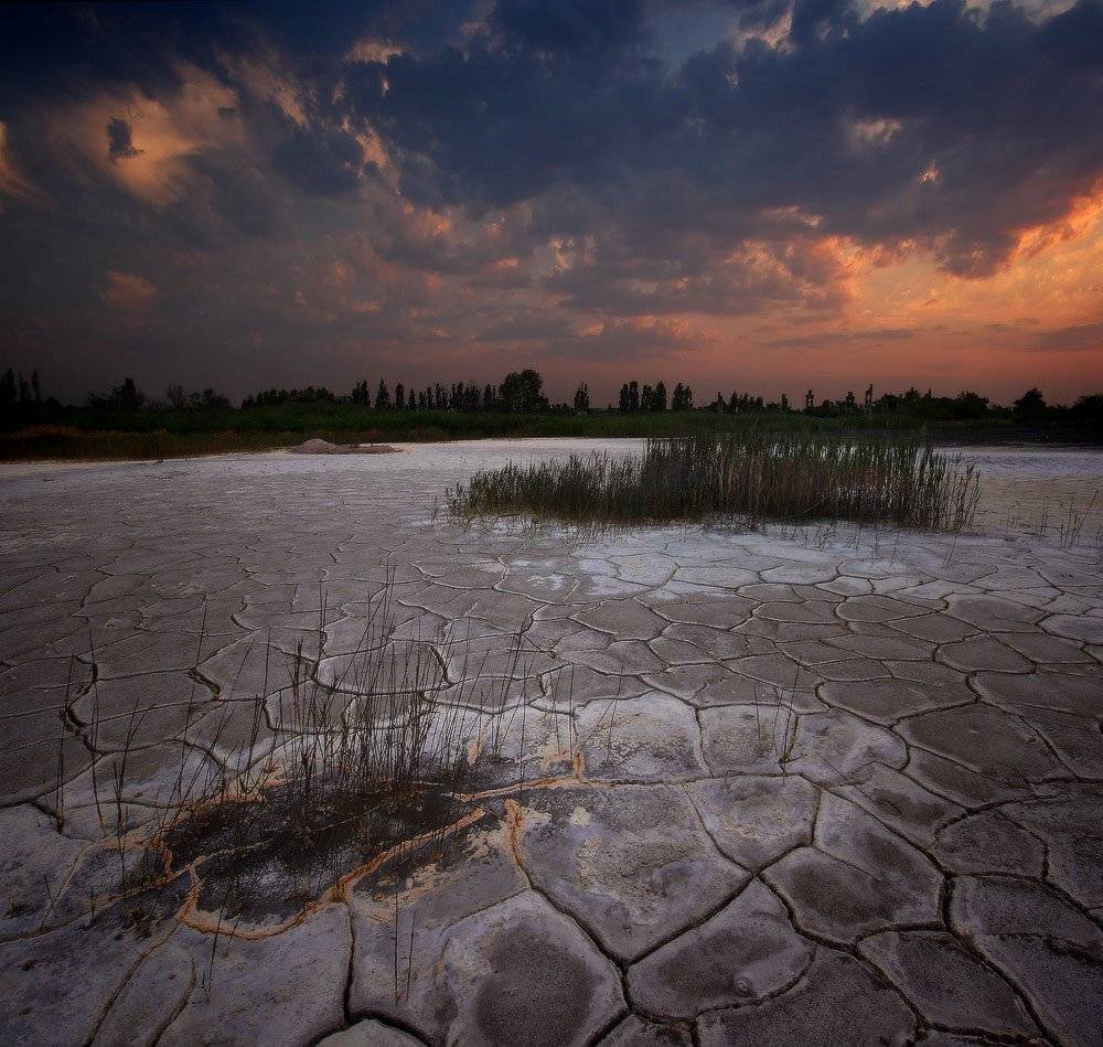 лето, вечер, засуха, Петриченко Валерий