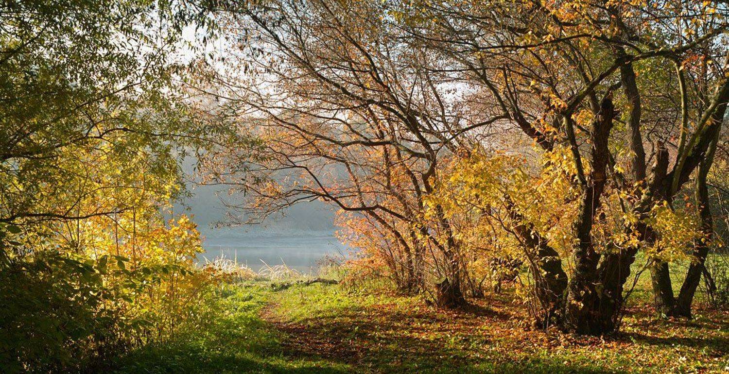 , Вадим Казаков