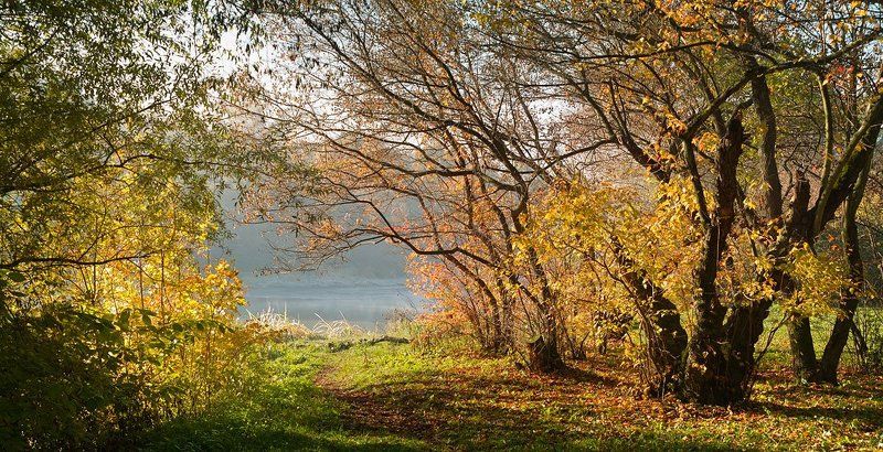 Осень торжествует... фото превью