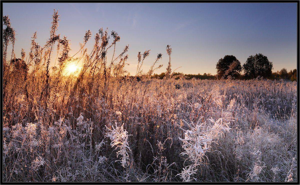 осень,октябрь,кема,деревня, Roman Goryachiy