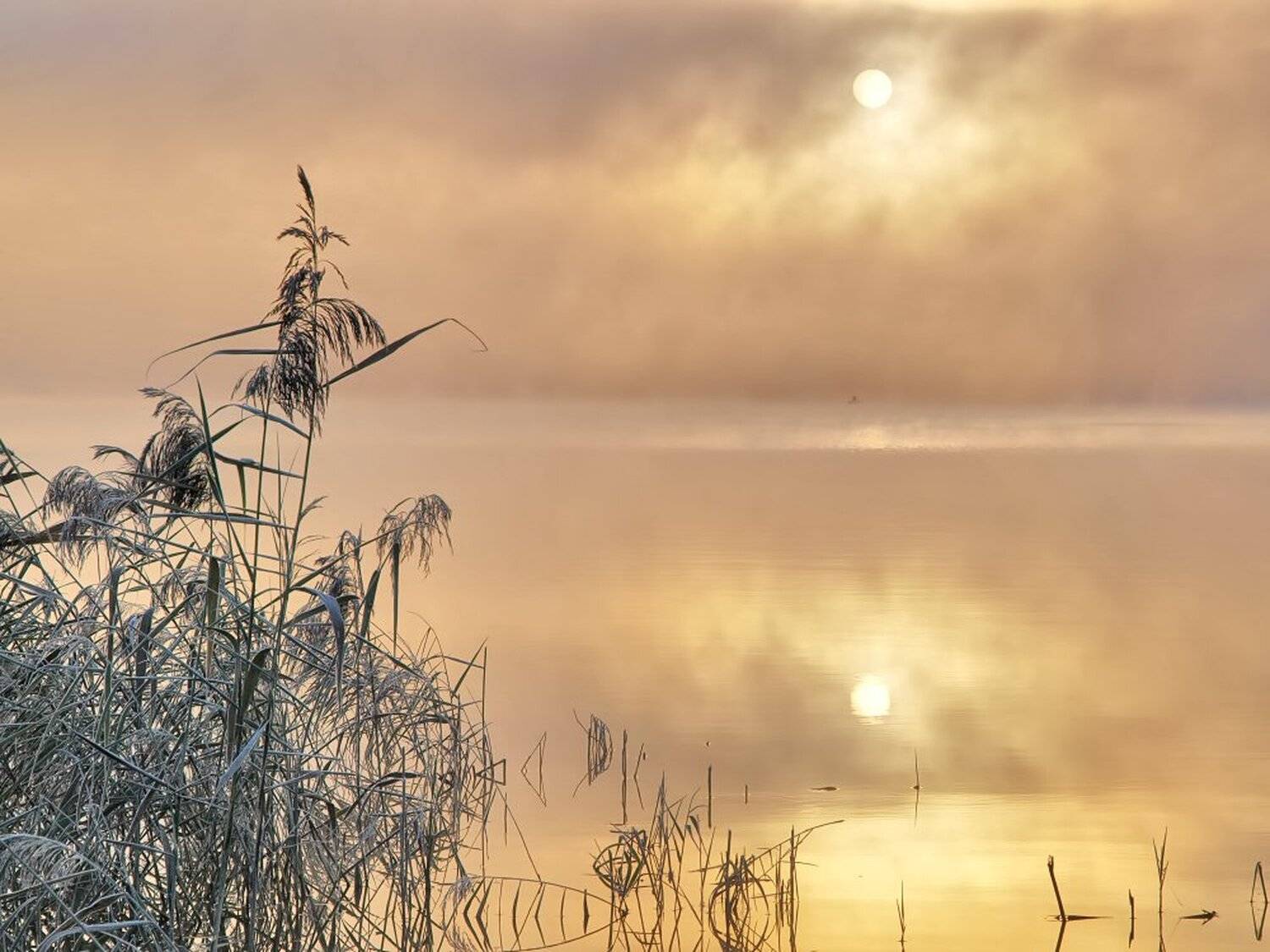 , Максим Евдокимов