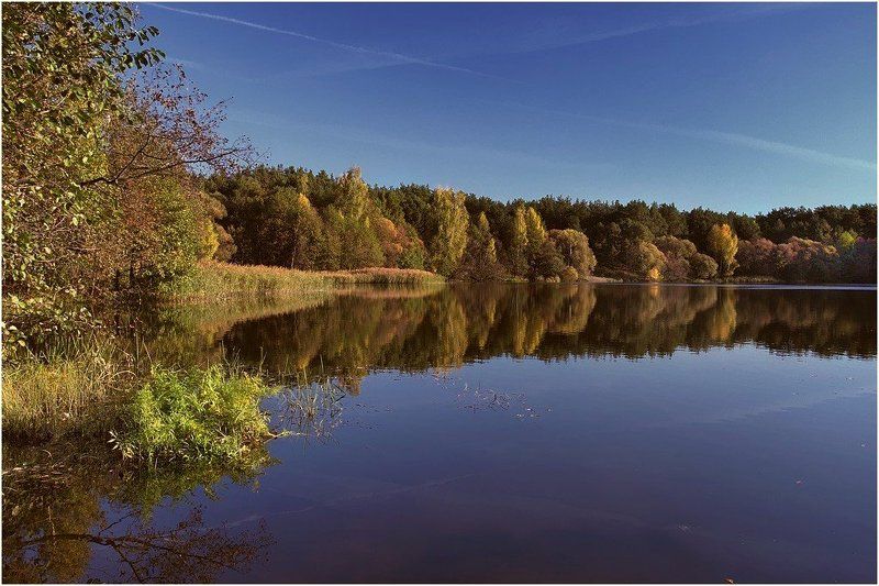 *** фото превью