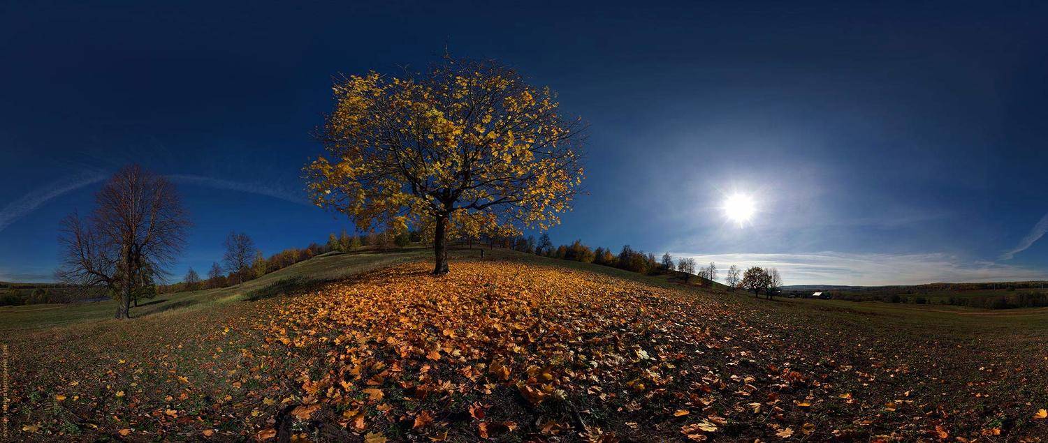 , Евгений ПЛИШКИН