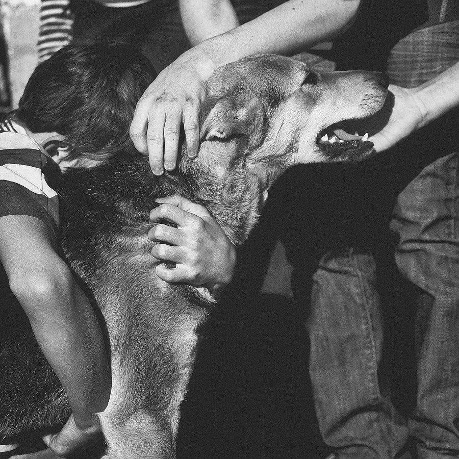 , Степан Каморный