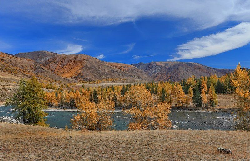 природа, пейзаж, осень, алтай, река, горы Осенний вальс фото превью