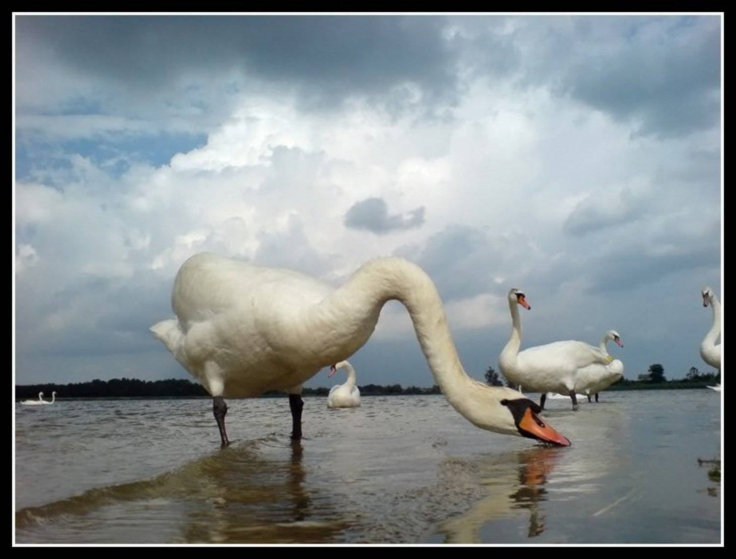 , Александр