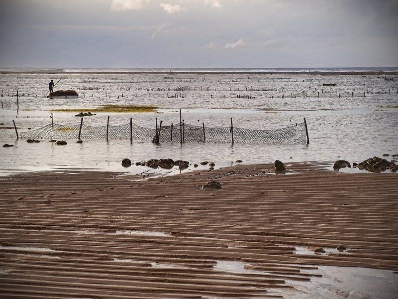 урожай Сбор урожая фото превью