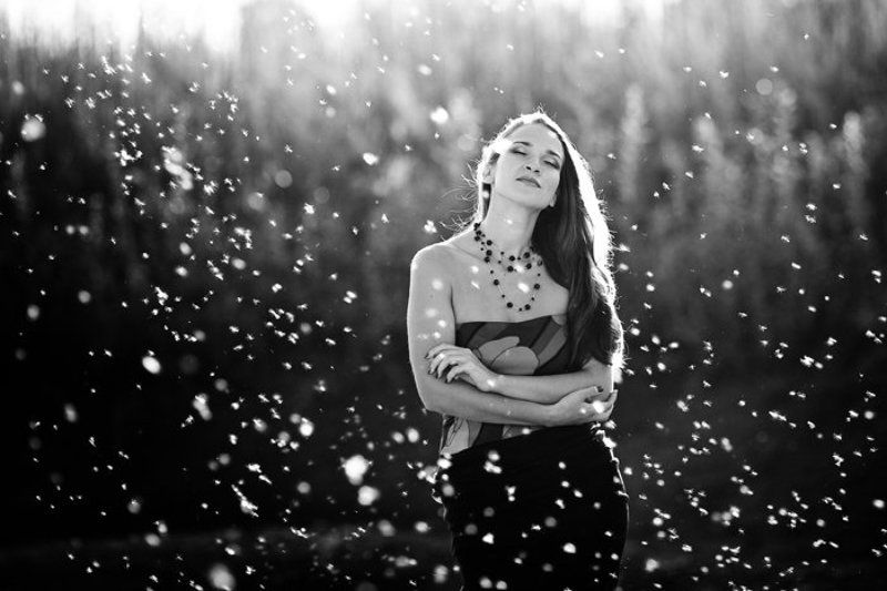 ... фото превью