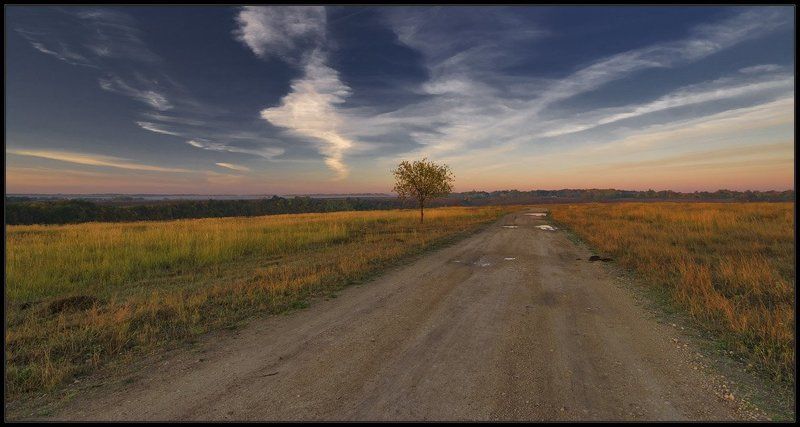 воргол Дорожное настроение... фото превью