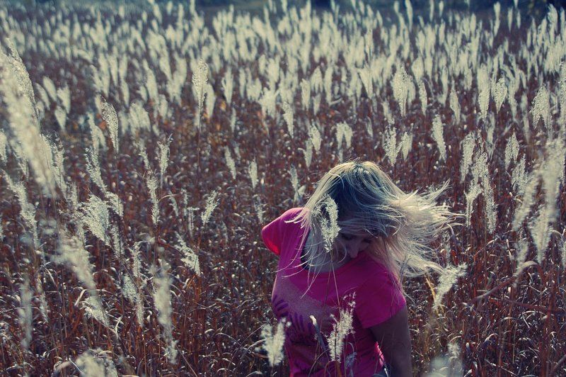 голос высокой травы... фото превью