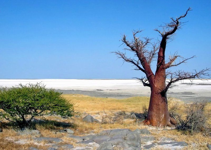 соседи фото превью