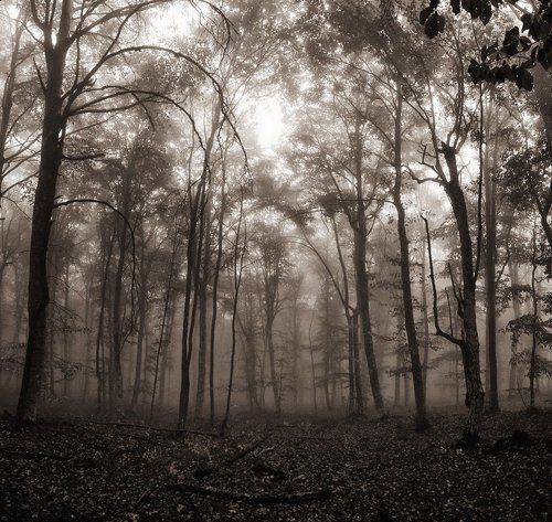 mystery