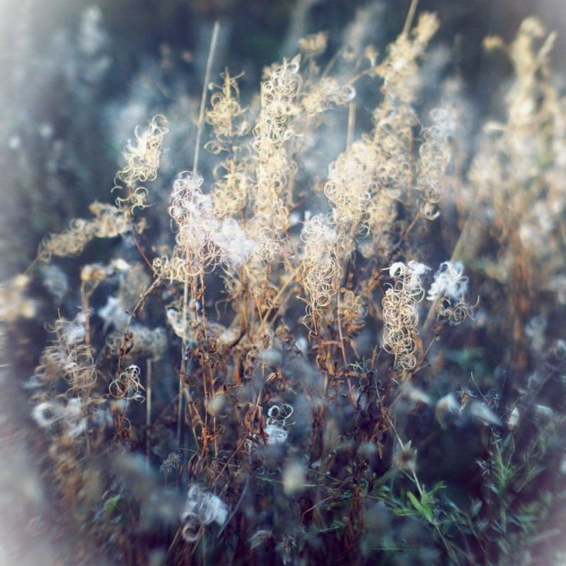 Кружева фото превью