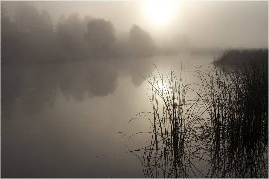 , СПИРИДОНОВ НИКОЛАЙ
