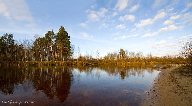осень, река, лес, окский биосферный заповедник, панорама Серия \
