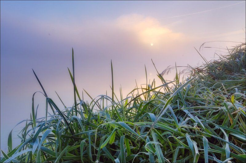 Туманным утром у реки фото превью