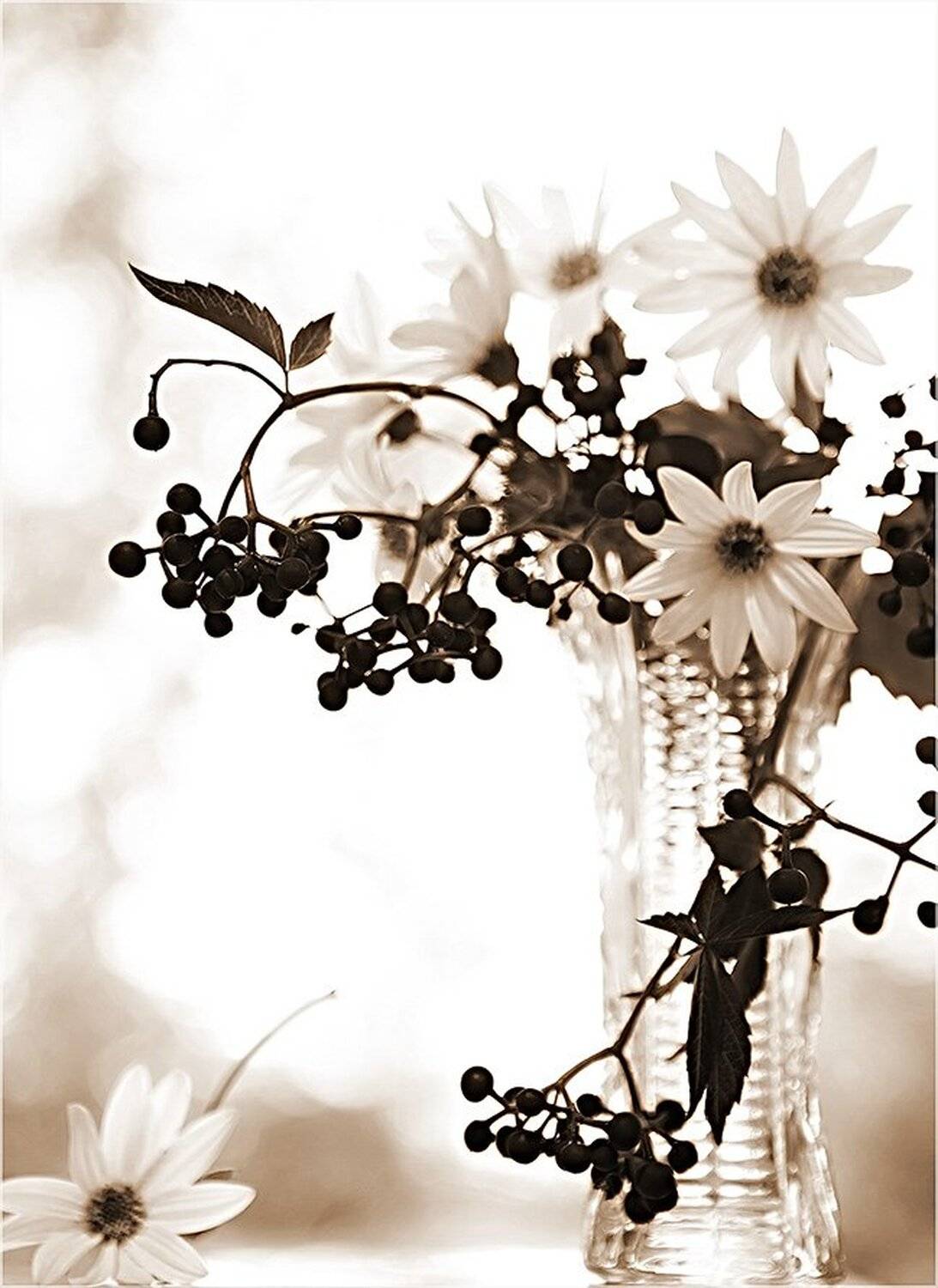 , Андрей Финогенов