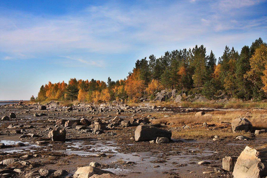 , Александр Коротков