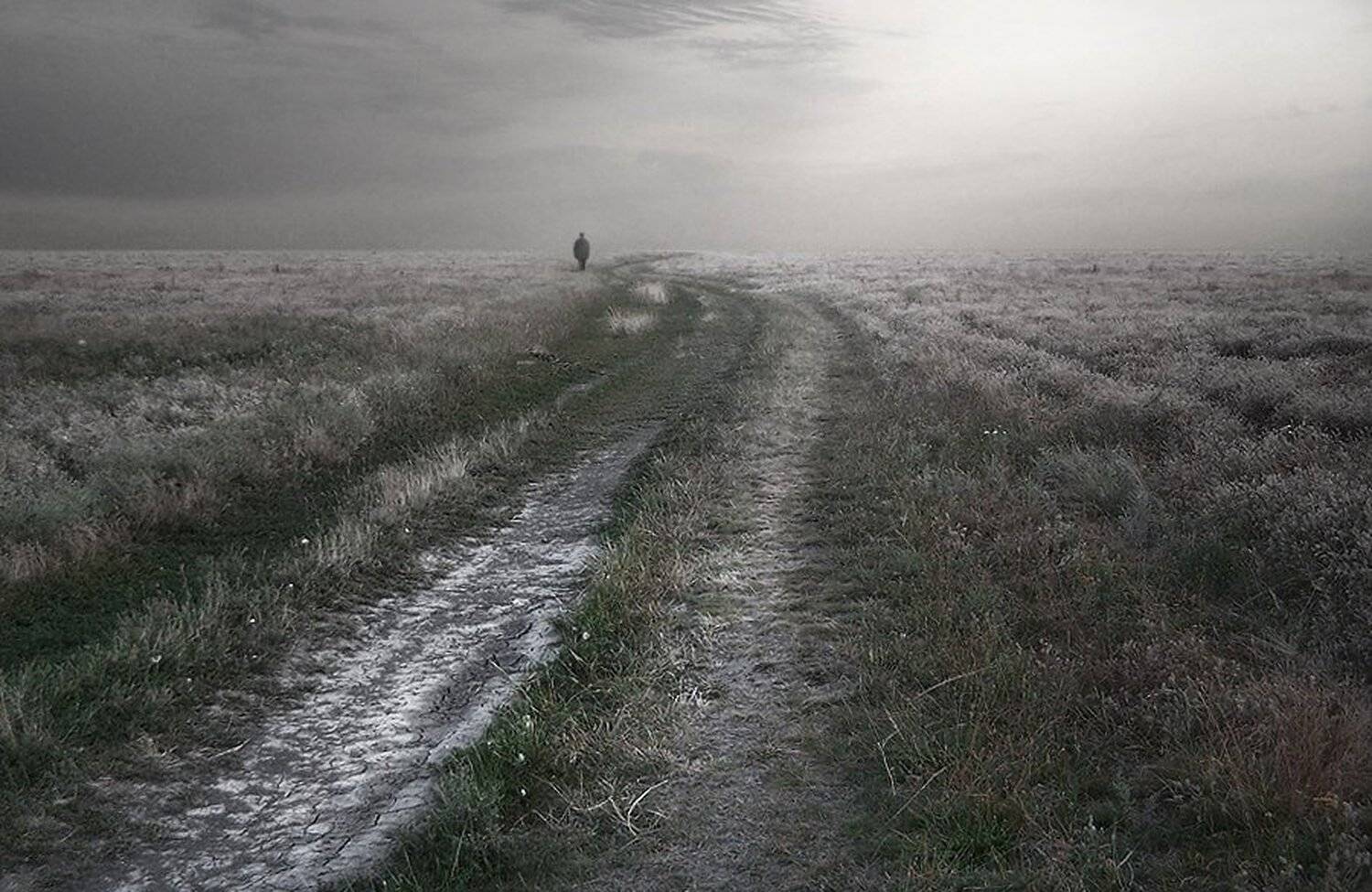 , Николай Титов